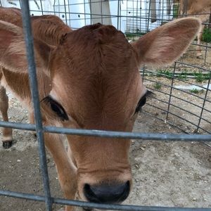 Meet your Posher, Clayton